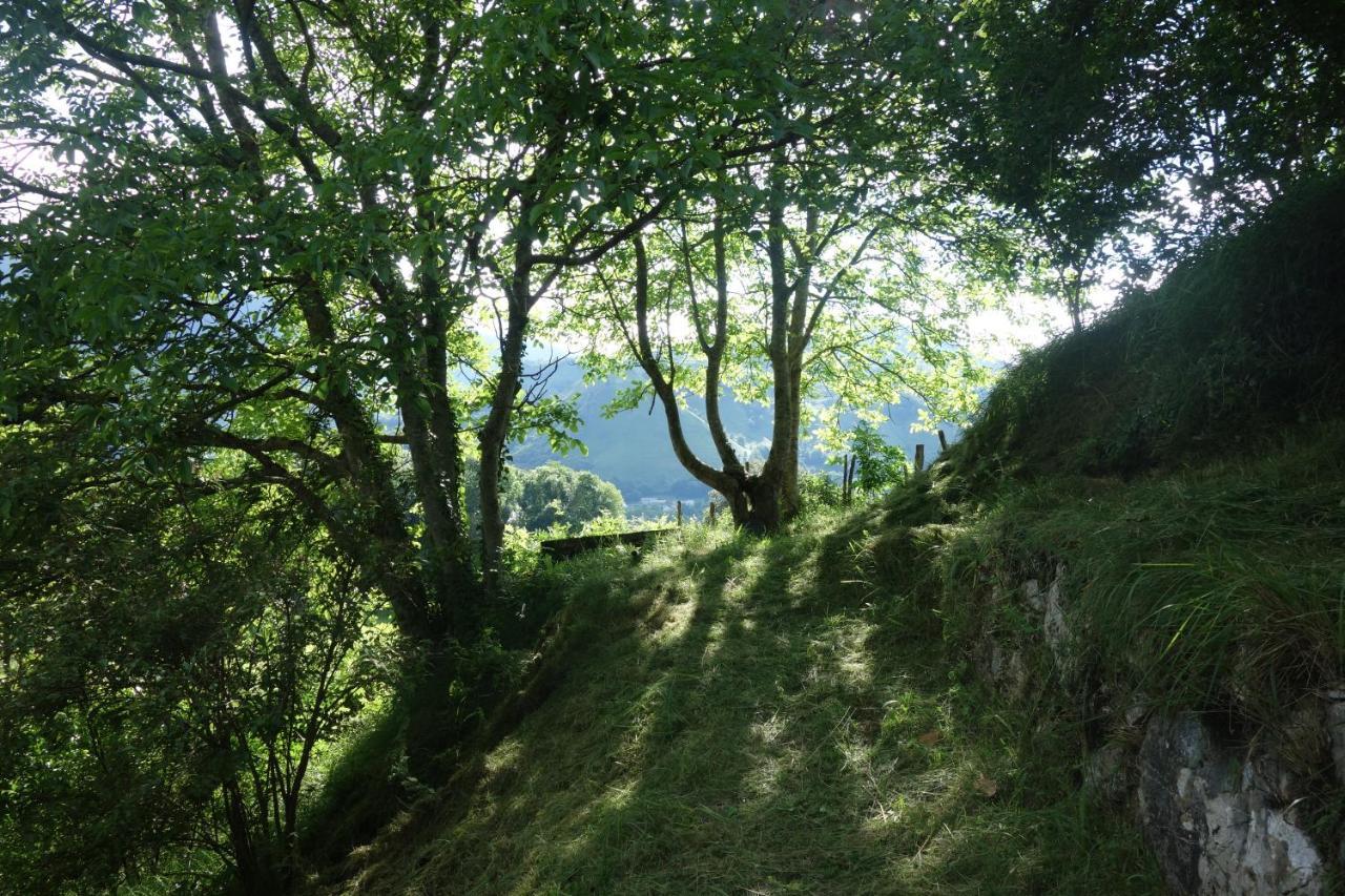 Gite Montagne Et Vie Bedous Luaran gambar